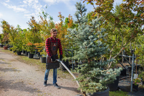 Best Leaf Removal  in North Braddock, PA